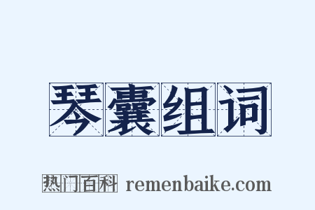 琴囊组词是什么意思的图片